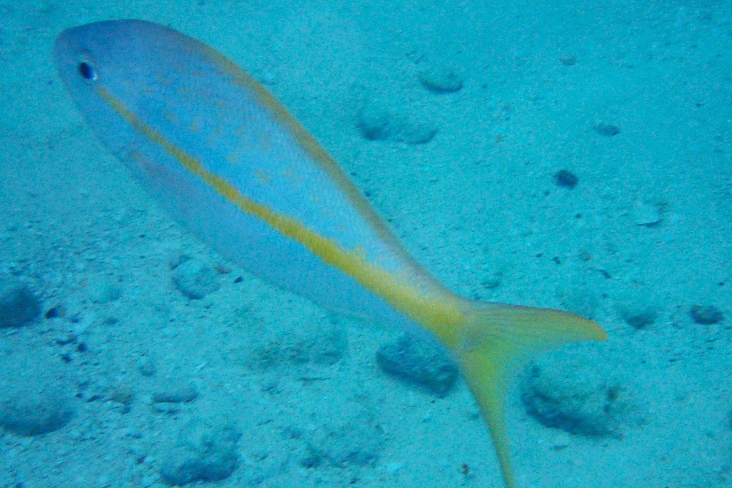Turks & Caicos